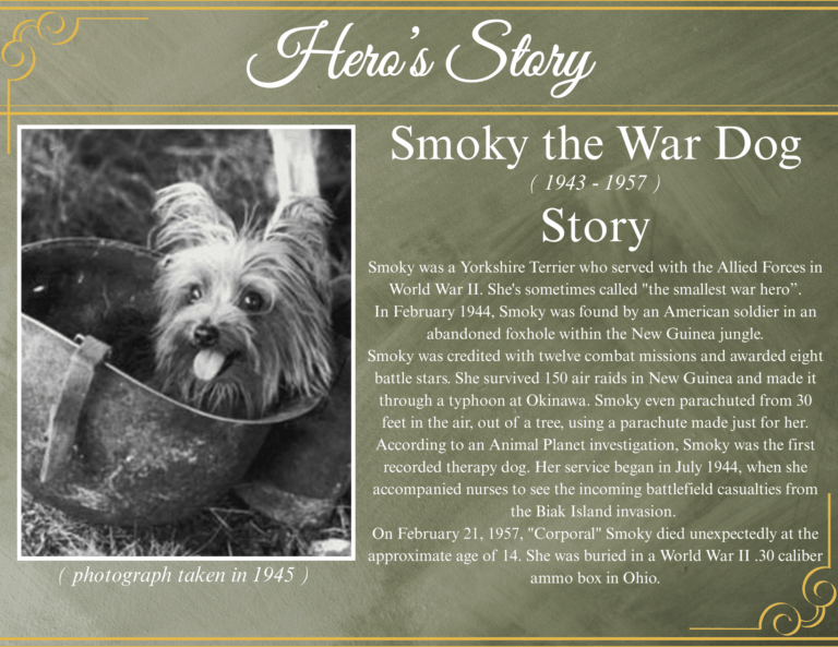 smokey the war dog 1